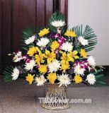 珲春开业花篮